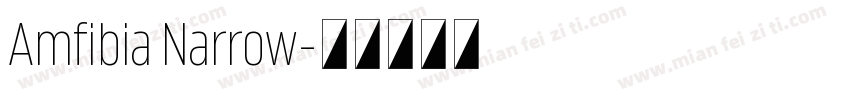 Amfibia Narrow字体转换